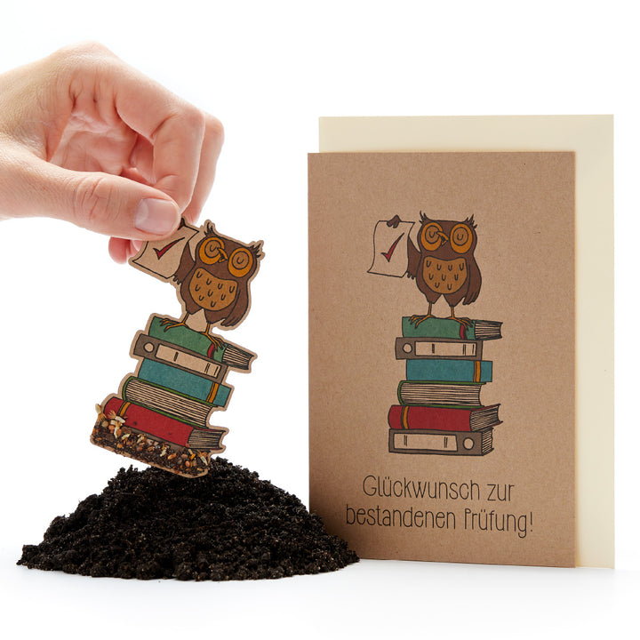 Hand hält Papierfigur einer Eule auf Bücherstapel, neben Glückwunschkarte mit Eulenmotiv und Text "Glückwunsch zur bestandenen Prüfung".