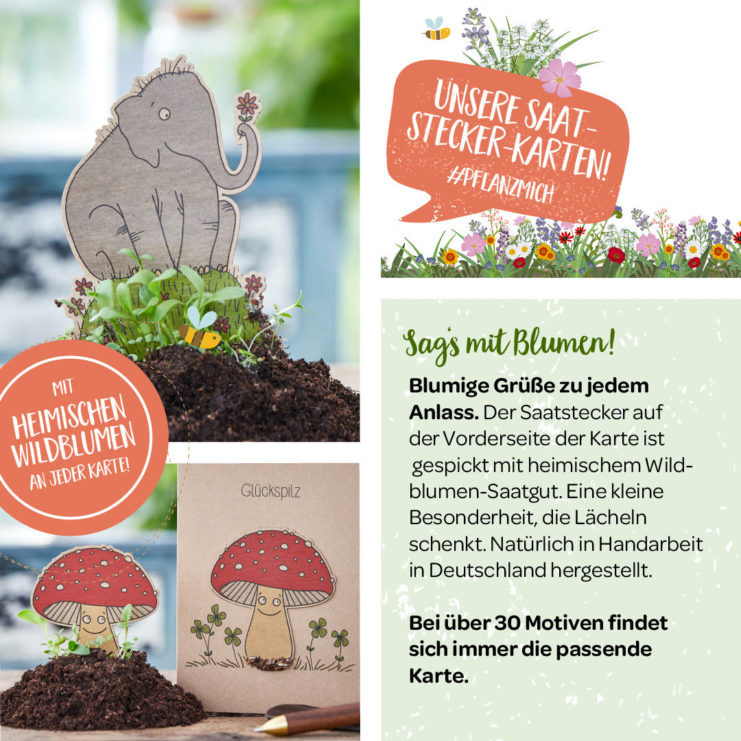 Pflanzbare Grußkarten mit Saatgut für heimische Wildblumen, ein Elefant- und ein Glückspilz-Design, mit Texten über die Vorteile und Vielfalt der Karten.