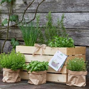 Kräutergarten in einer Holzkiste und Papiertüten vor einer alten Holzwand.