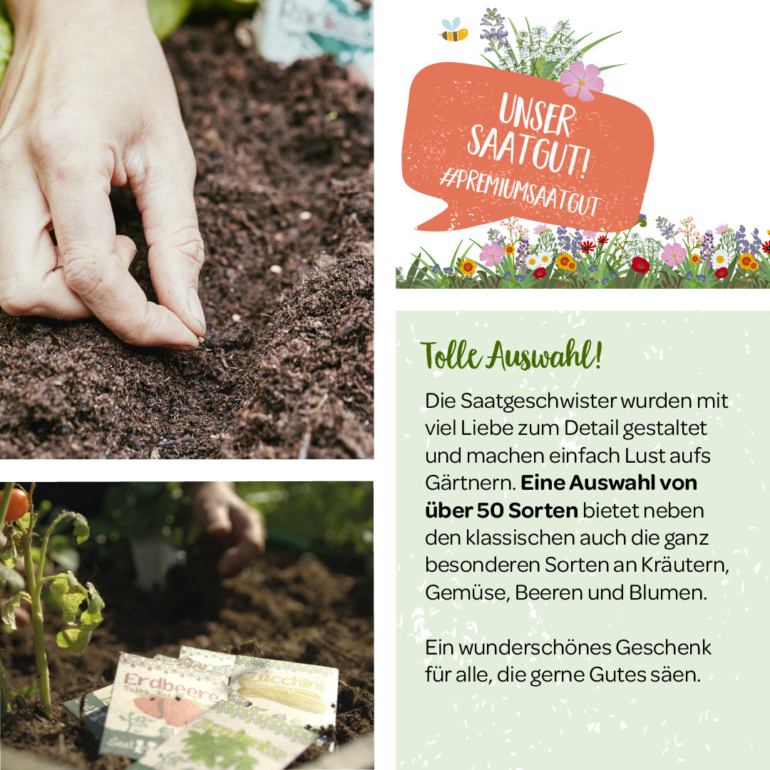 Alt-Text: Eine Hand pflanzt Samen in die Erde, Werbegrafiken für Saatgut mit Texten über die Auswahl und Qualität sowie Packungen von Erdbeersamen im Vordergrund.
