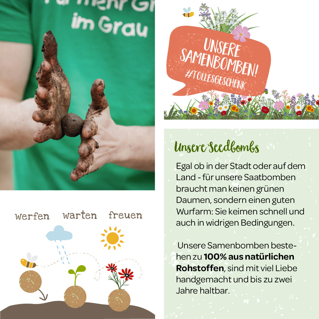 Ein Mensch mit erdigen Händen formt eine Samenbombe, daneben Infotext und Illustrationen zur Anwendung und den Vorteilen von Samenbomben aus natürlichen Rohstoffen.