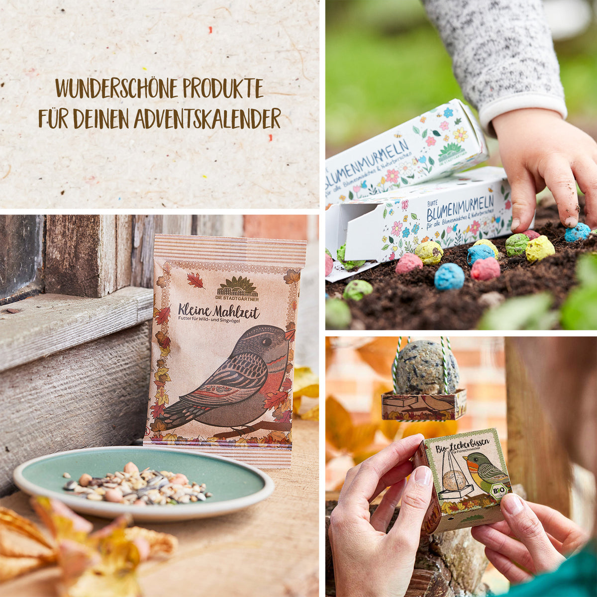 Collage aus verschiedenen Produkten für Adventskalender, darunter Saatgutkugeln, Vogelfutter und Pflanzsets.