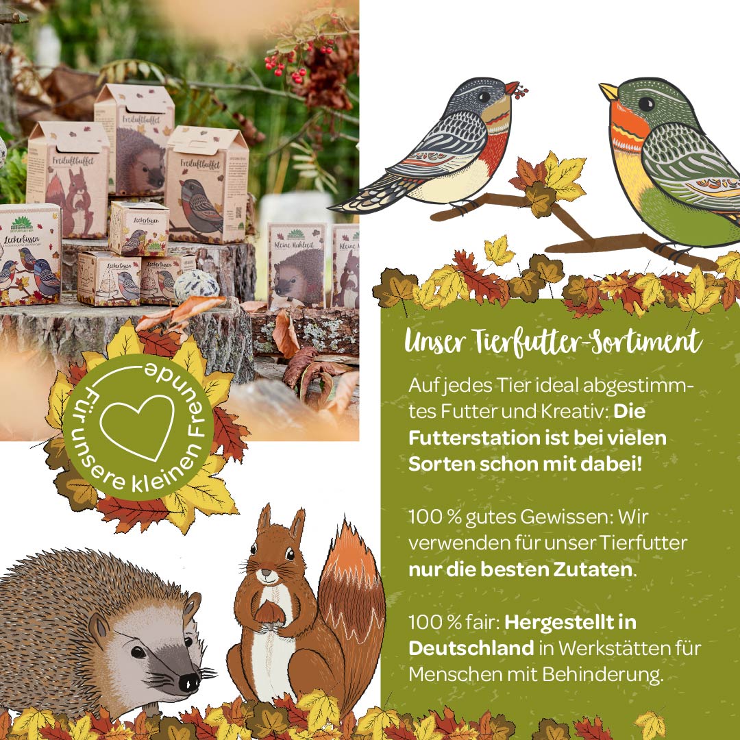 Werbebild für Tierfutter-Produkte mit Illustrationen von Vögeln und einem Eichhörnchen, umgeben von Herbstlaub.